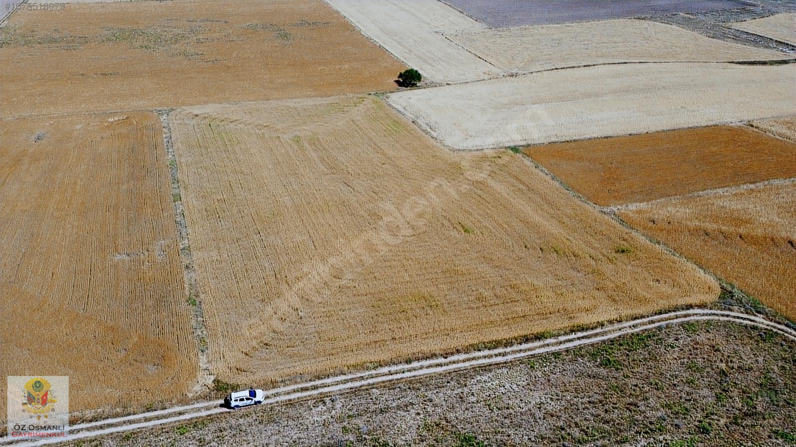 SULTANDAĞINDA 9.300 M2 KÖYE YAKIN SATILIK DÜZ TARLA - AFYONKARAHİSAR SULTANDAĞI fotoğraf 10