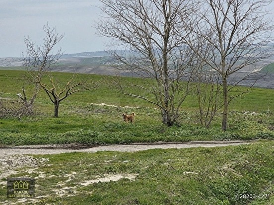 ARNAVUTKÖY DURSUNKÖY ENDÜLÜS CADDE CEPHELİ PARSELDE 230 M2 - İSTANBUL ARNAVUTKÖY fotoğraf 17