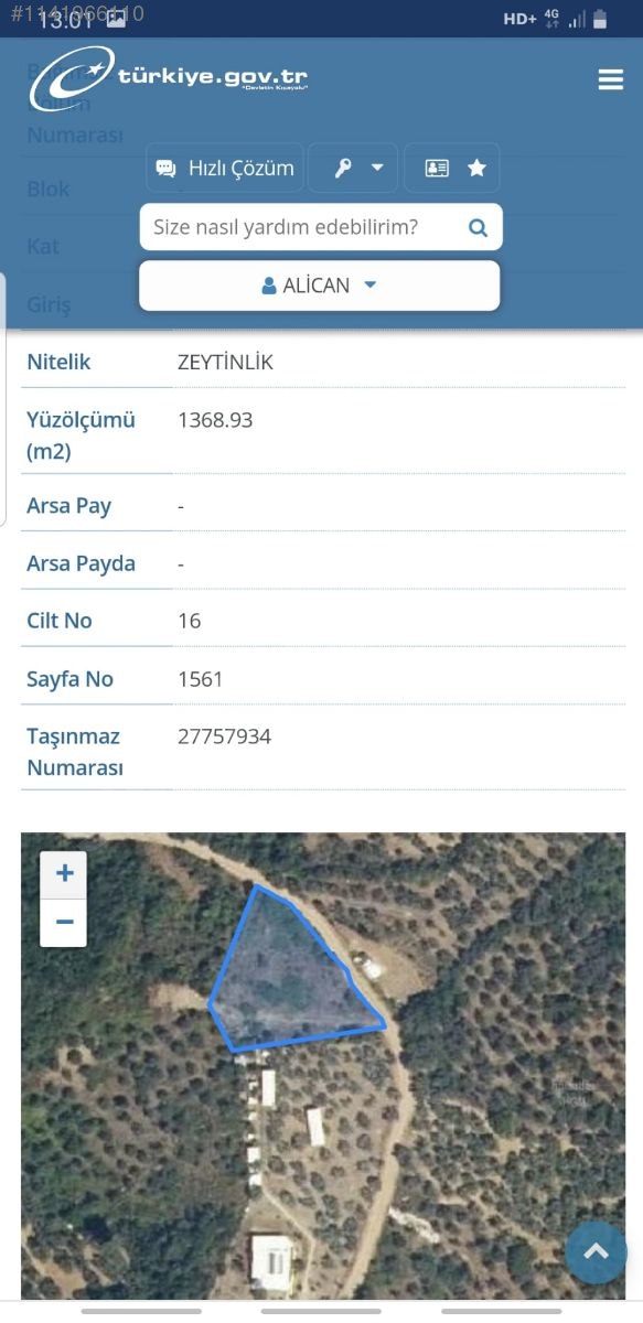 BURSA MUDANYA KUMYAKA 1.368  M²  ZEYTİNLİK  SATILIKTIR - BURSA MUDANYA fotoğraf 7