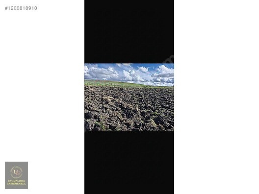 EDİRNE UZUNKÖPRÜ MEŞELİ'DE 7.624M2 UYGUN ARSA - EDİRNE UZUNKÖPRÜ fotoğraf 2