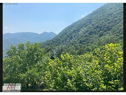 AYHAN HEPDİKER DEN GEYVE NURİOSMANİYEDE 18000 M2 HARİKA KONUMDA - SAKARYA GEYVE fotoğraf 35