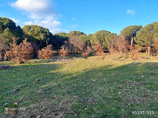 BERGAMA KOZAK YAYLASI KARAVELİLER MAH DE 2360 m2 BAHÇE - İZMİR BERGAMA fotoğraf 2