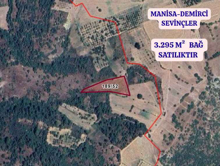 MANİSA DEMİRCİ SEVİNÇLER   KÖYÜNDE  3.295 M²  BAĞ  SATILIKTIR - MANİSA DEMİRCİ fotoğraf 2