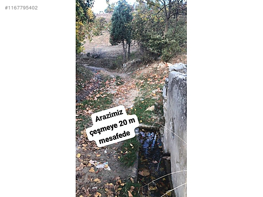ASFALT YOLA CEPHELİ YATIRIMLIK 11 DÖNÜM - BURSA BÜYÜKORHAN fotoğraf 12