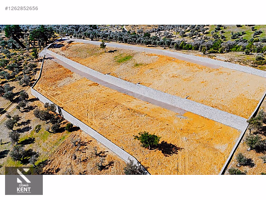 Kemalpaşa Ansızca Satılık 1406 m2 Bahçe - İZMİR KEMALPAŞA fotoğraf 25