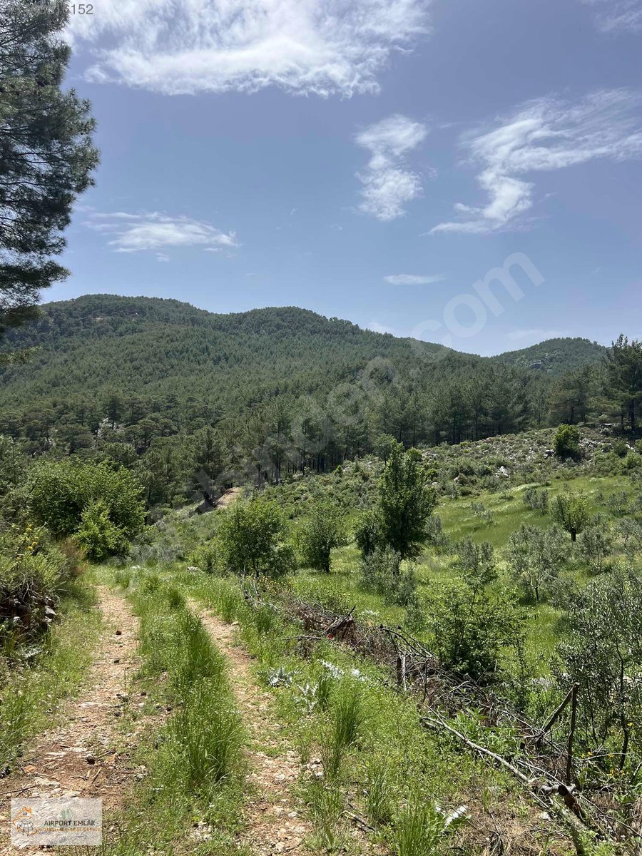 AİRPORT EMLAKTAN ELCİKTE 1 DÖNÜM TEK TAPU TARLA - MUĞLA DALAMAN fotoğraf 3