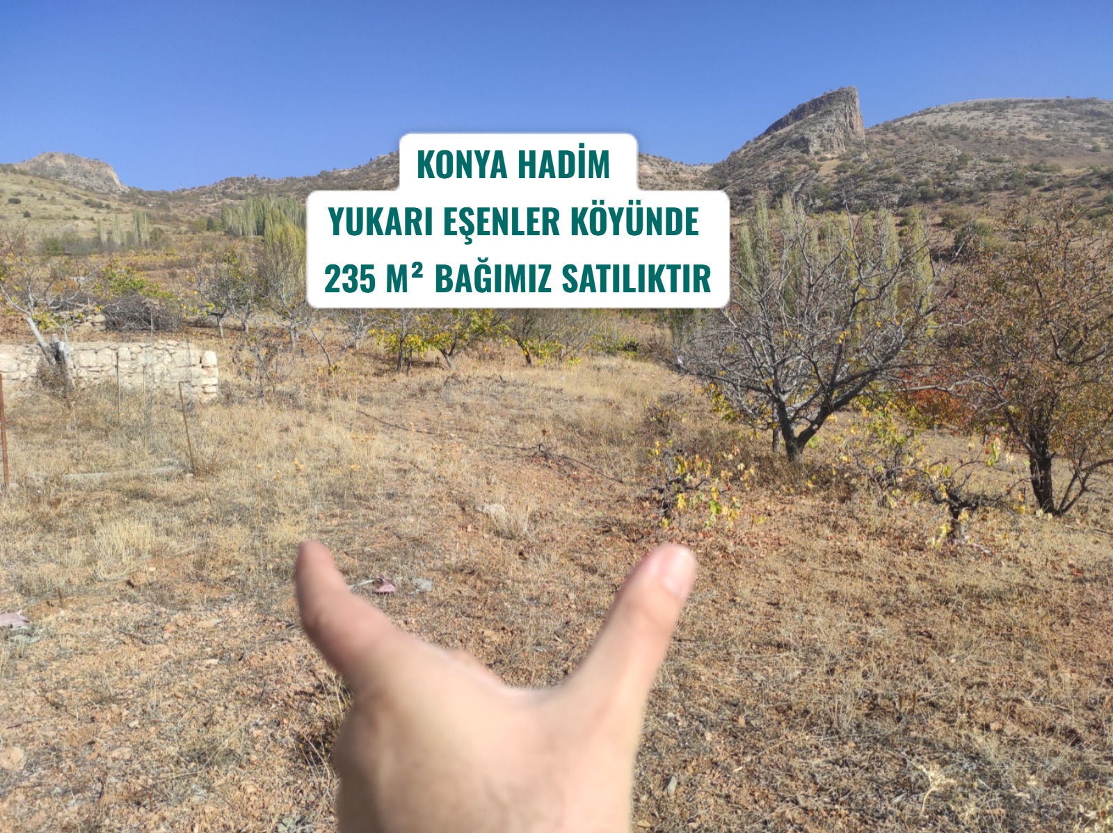 İlan Resmi