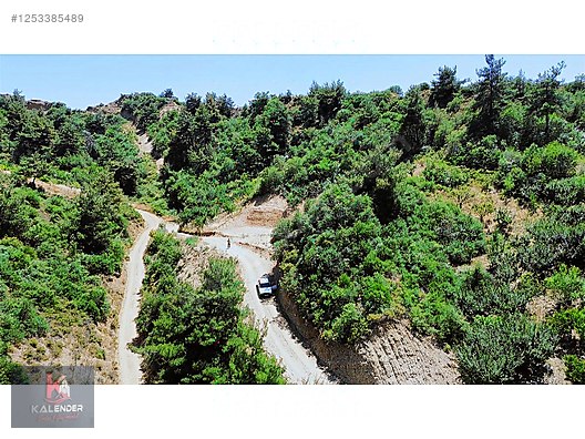 KALENDER EMLAKTAN OSMANCIKTA 1650 M2 ERİKLİK - MANİSA TURGUTLU fotoğraf 3