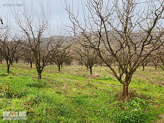 Serdivan Esentepe'de Satılık Arsalar - Yatırım Fırsatı! - SAKARYA SERDİVAN fotoğraf 10