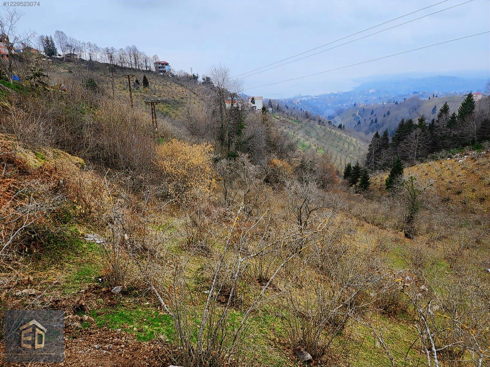 E&D GYO'DAN TRABZON KAVALA'DA SATILIK 1050 M² MANZARALI ARSA - TRABZON ORTAHİSAR fotoğraf 6