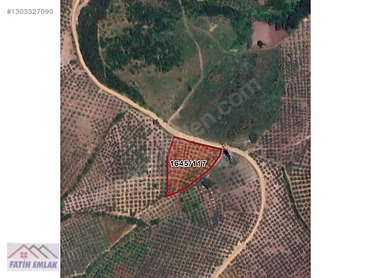 GEMLİK MURATOBA KÖYÜNDE 4695m² SATILIK ZEYTİNLİK - BURSA GEMLİK fotoğraf 11
