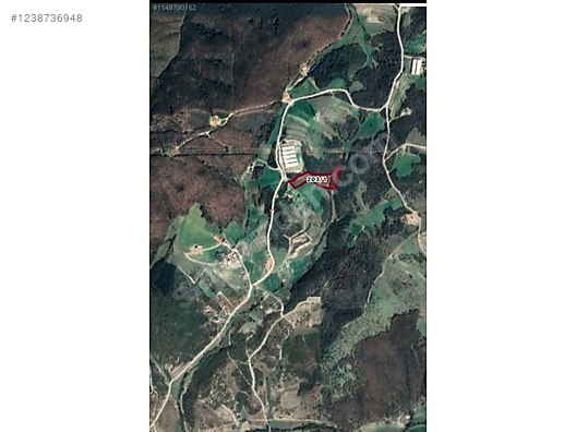 13.5 dönüm tek tapu sahibinden satılık - KOCAELİ DERİNCE fotoğraf 3