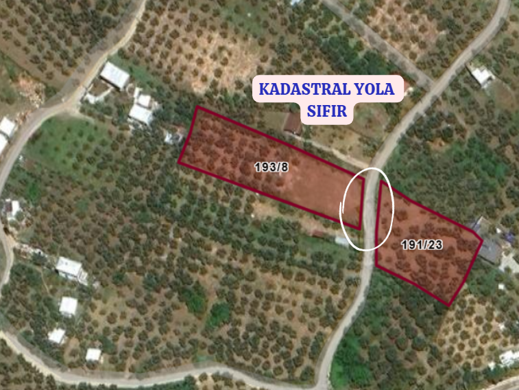 BURSA MUDANYA ÇEPNİ KÖYÜNDE 2.110 M² ZEYTİNLİK SATILIKTIR. - BURSA MUDANYA fotoğraf 4
