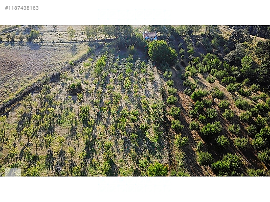 ÇANAKKALE BAYRAMİÇ BEŞİK KÖYÜ 6.900 m2 MEYVA BAHÇESİ 96 m2 EV - ÇANAKKALE BAYRAMİÇ fotoğraf 8