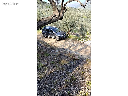 İZMİR BAYINDIR KIZILOVA  KÖYÜNDE 182  M² ZEYTİNLİK  SATILIKTIR - İZMİR BAYINDIR fotoğraf 10