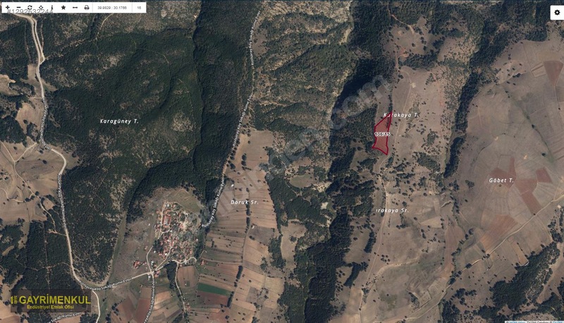 Bilecik Söğüt'te 10.654 m² Satılık Tarla - BİLECİK SÖĞÜT fotoğraf 3