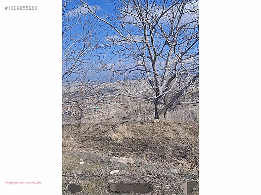 KEMER DE ŞEHİR MANZARALI 7500M2 İÇİNDE 50 KADAR YETİŞMİŞ CEVİZ - BURDUR KEMER fotoğraf 5