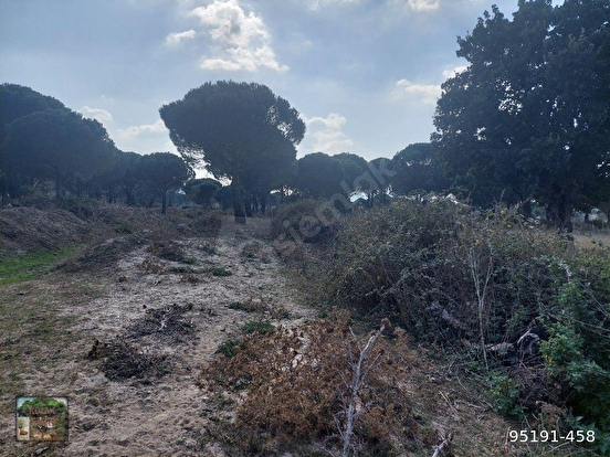 BERGAMA KOZAK HACIHAMZALAR MAH DE 10500 M2 TARIM İMARLI TARLA ÖNÜ PARSEL YOL ELE - İZMİR BERGAMA fotoğraf 3