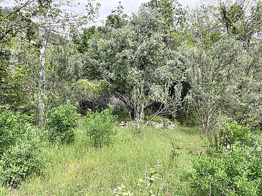   Karaman / Ermenek / Yalındal Köyü 809M² BAHÇE SATILIKTIR.  - KARAMAN ERMENEK fotoğraf 17