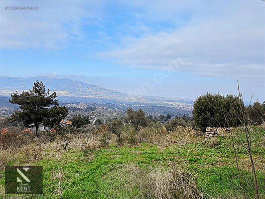 Kemalpaşa Yukarıkızılca Satılık İmar sınırında 6250m2 Zeytinlik - İZMİR KEMALPAŞA fotoğraf 5