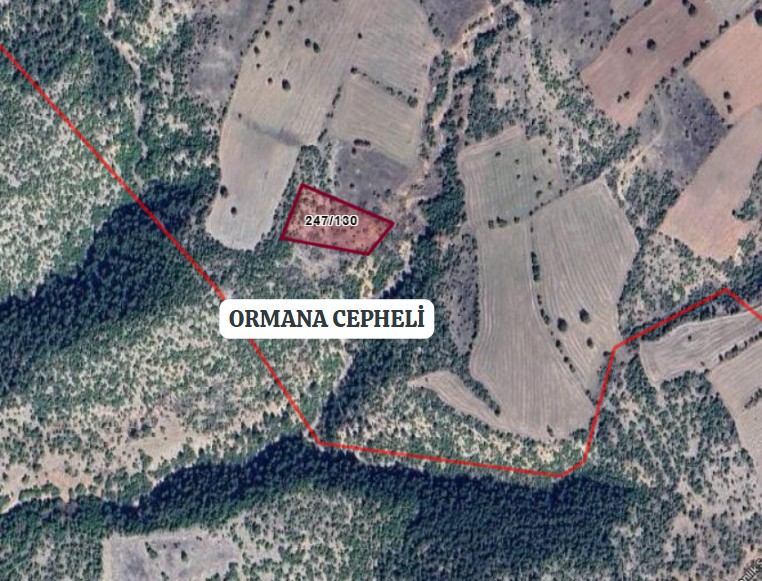 KÜTAHYA HİSARCIK KARBASAN(YENİDOĞAN)'DA 2.930M² TARLA SATILIKTIR - KÜTAHYA HİSARCIK fotoğraf 3