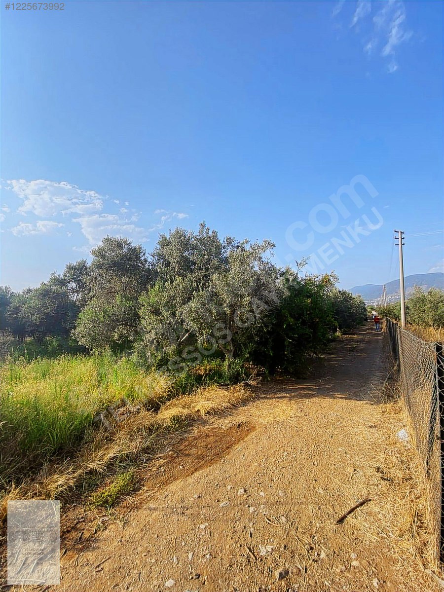 TELMESSOS GAYRİMENKUL DEN KARAÇULHA DA OVADA 1058 m2 TARLA