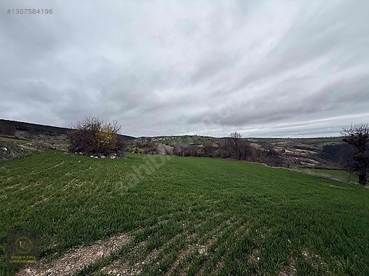 SAMSUN VEZİRKÖPRÜ ÇAMLIDERE'DE 6.670 M2 UYGUN ARSA - SAMSUN VEZİRKÖPRÜ fotoğraf 20
