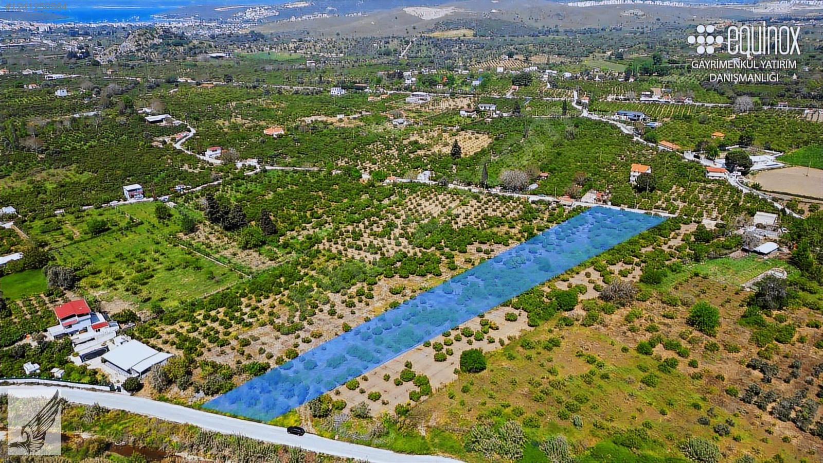Seferihisar camikebir mh 3500 m2 cift cepheli mandalina bahçesi - İZMİR SEFERİHİSAR fotoğraf 2