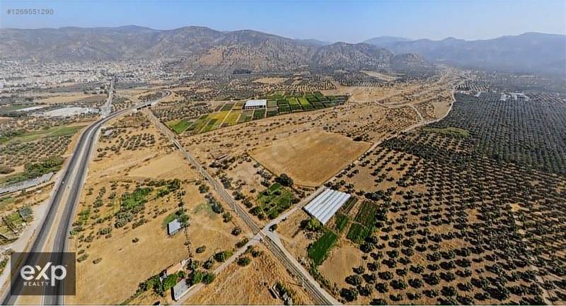Bayındır Tarıma Dayalı Çİçek OSB Yakını 5265 mSatılık Zeytinlik - İZMİR BAYINDIR fotoğraf 3