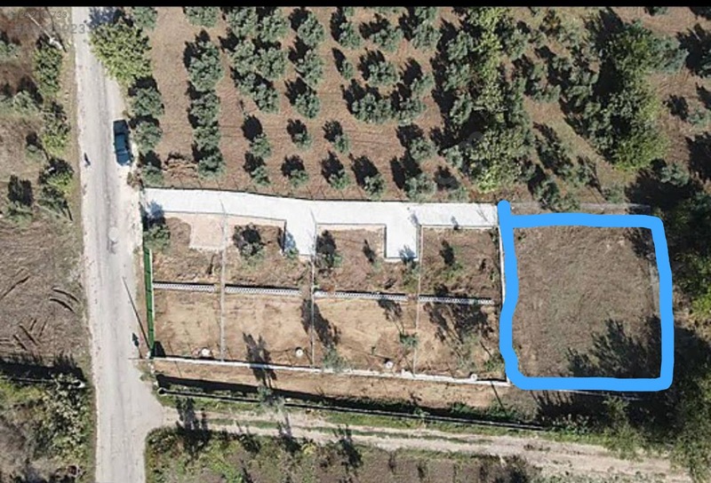 BURSA KARACABEY ESKİKARAAĞAÇ KÖYÜNDE  495  M² BAHÇE  SATILIKTIR - BURSA KARACABEY fotoğraf 6