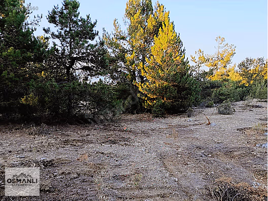 ARAÇ TAKASLI 3.150 M2, İLÇEYE 5 DK MESAFEDE YATIRIM FIRSATI - BİLECİK SÖĞÜT fotoğraf 12