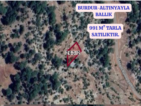  BURDUR ALTINYAYLA BALLIK KÖYÜ 991M² TARLA SATILIKTIR - BURDUR ALTINYAYLA fotoğraf 3