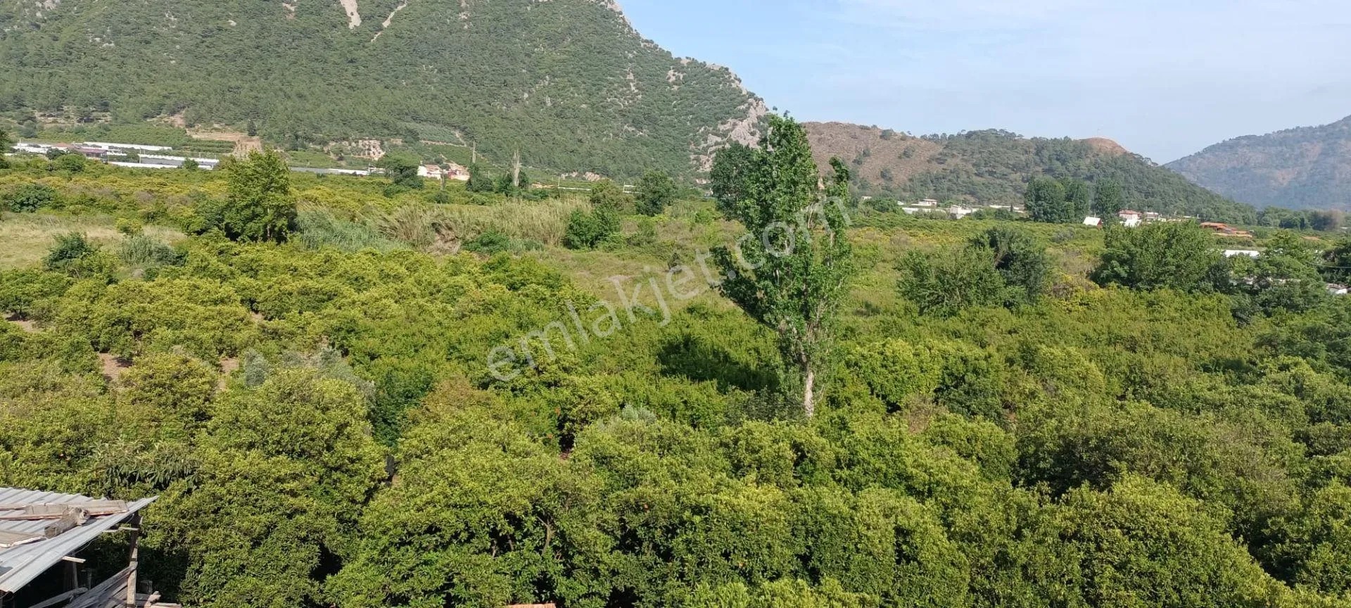 Kumluca Adrasanda Satılık Arsa-tarla( Dönüm Fiyatı) - ANTALYA KUMLUCA fotoğraf 7
