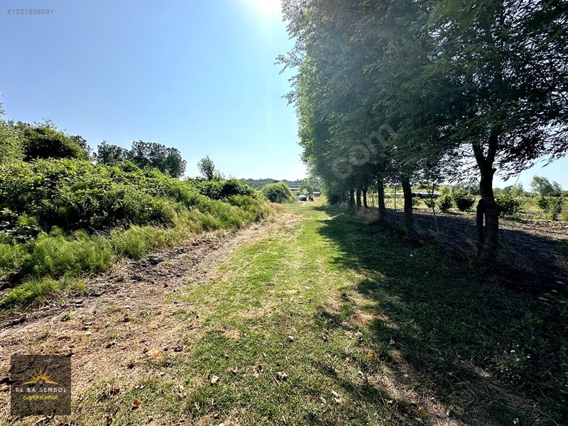 KARASU KUZULUK MAHALLESİNDE SATILIK 7.170 M2 TARLA - SAKARYA KARASU fotoğraf 11