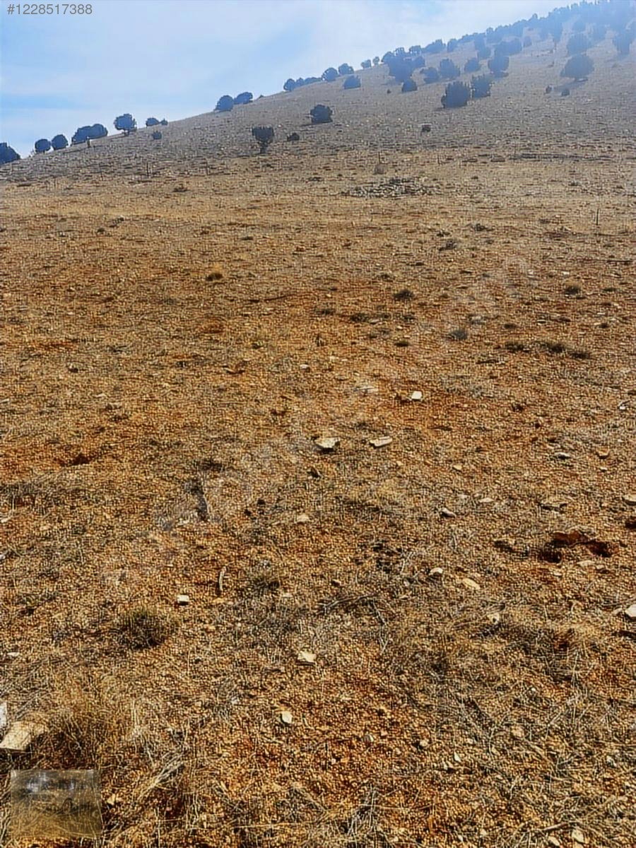 acil.Korkuteli sımandırda.sanayi arsalarına komşu2382m tarla - ANTALYA KORKUTELİ fotoğraf 10