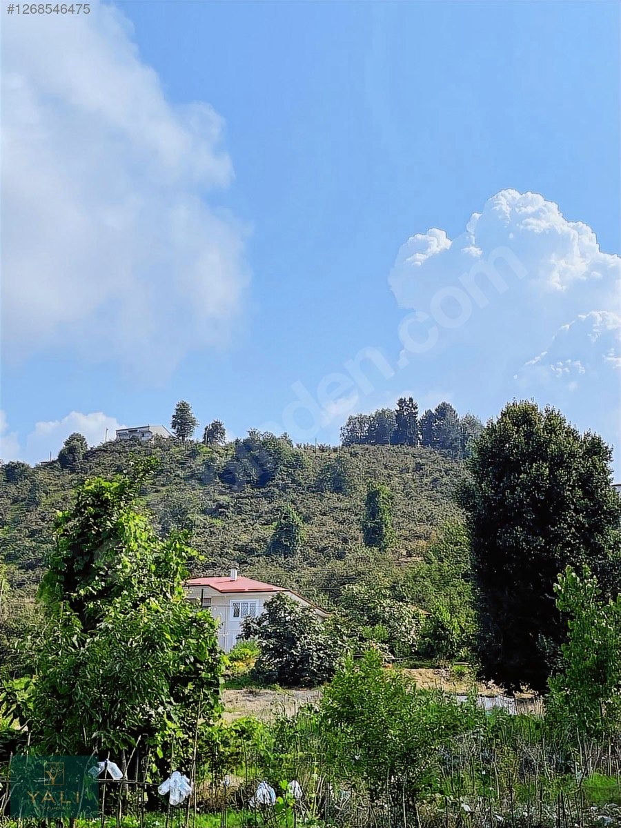 GİRESUN MERKEZ YALIKÖY MEVKİİ SATILIK ARAZİ - GİRESUN MERKEZ fotoğraf 16