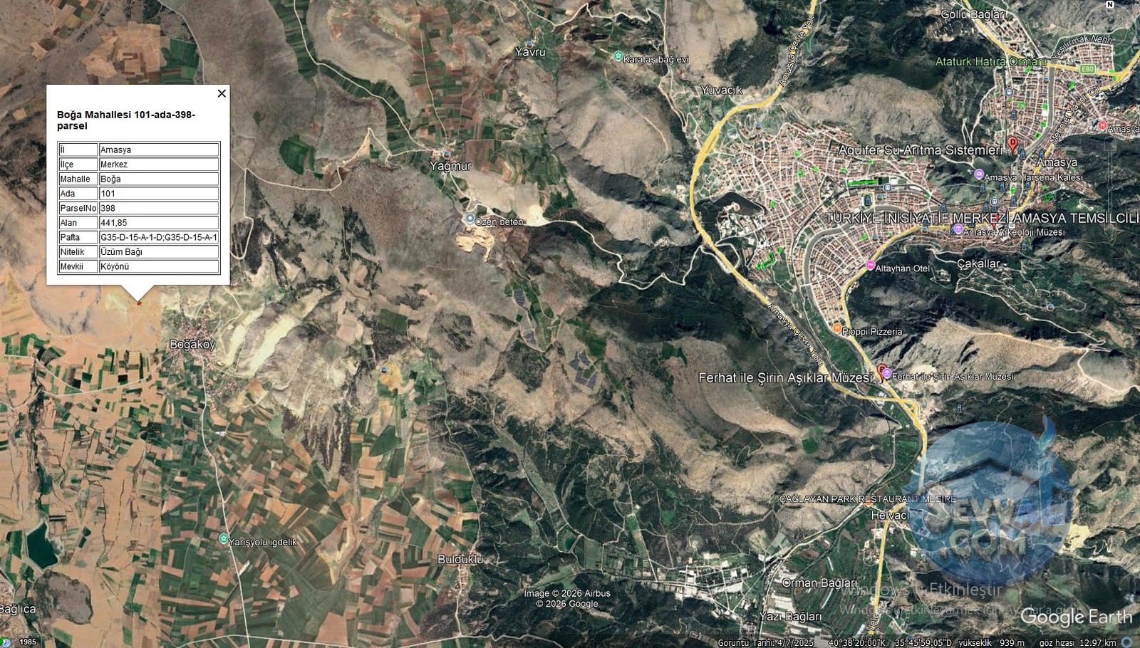 AMASYA MERKEZ BOĞA KÖYÜ 441 m² ÜZÜM BAĞI SATILIK - Amasya Merkez fotoğraf 6