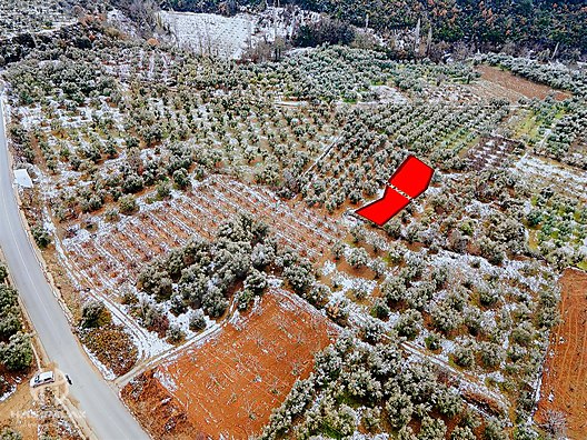BÖLGE UZMANI HAS EMLAK DENİZ MANZARALI FIRSAT HOBİ BAHÇESİ - BURSA MUDANYA fotoğraf 53