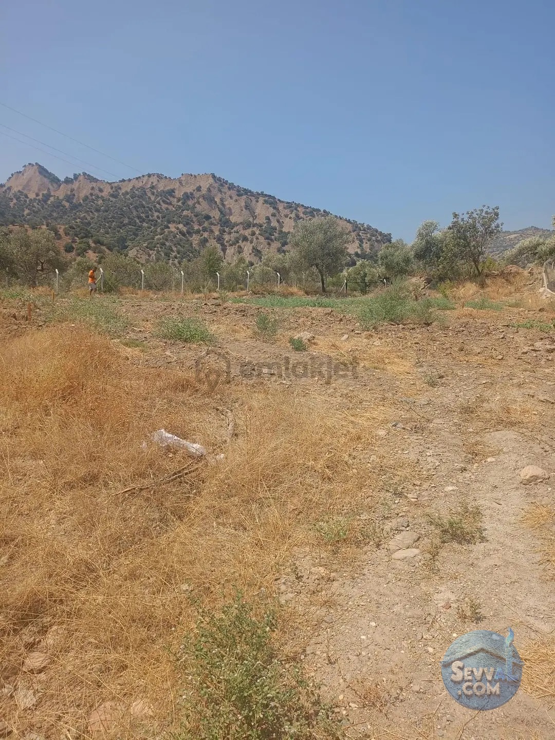 Sultanhisar Yağdere De 2 Yol Cepheli İmarlı Bahçe - AYDIN SULTANHİSAR fotoğraf 15