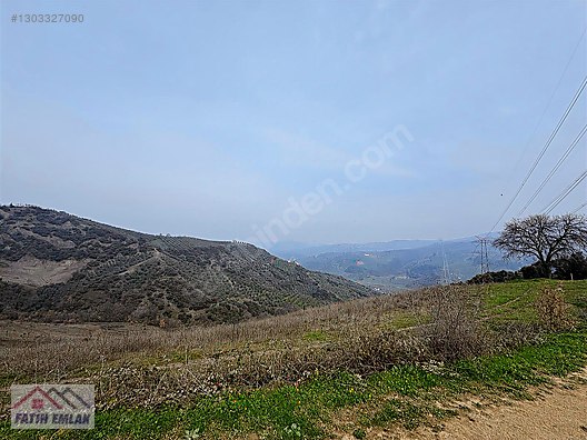 GEMLİK MURATOBA KÖYÜNDE 4695m² SATILIK ZEYTİNLİK - BURSA GEMLİK fotoğraf 28