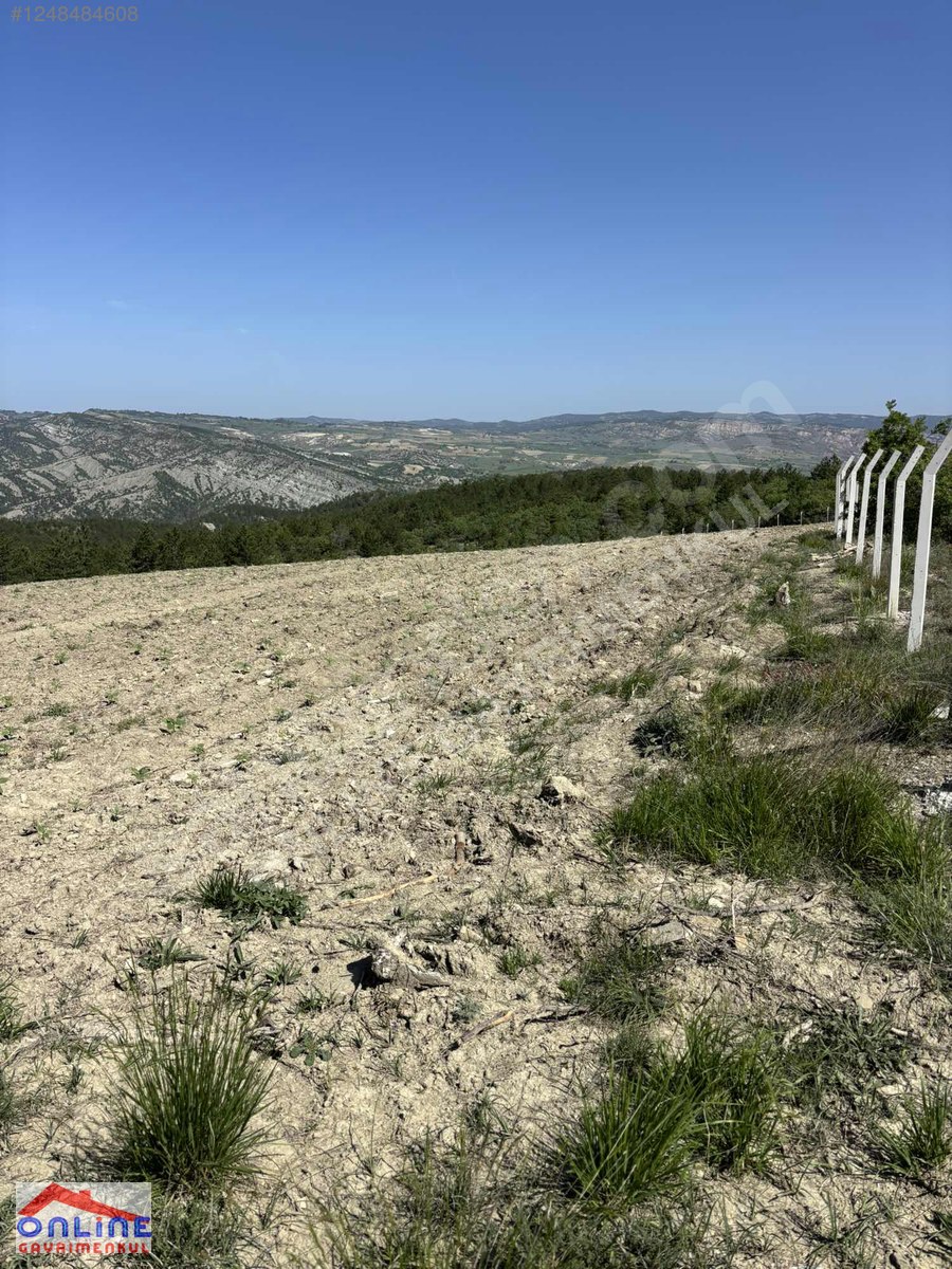 RESMİ YOLLU ARAZİ - BİLECİK YENİPAZAR fotoğraf 21
