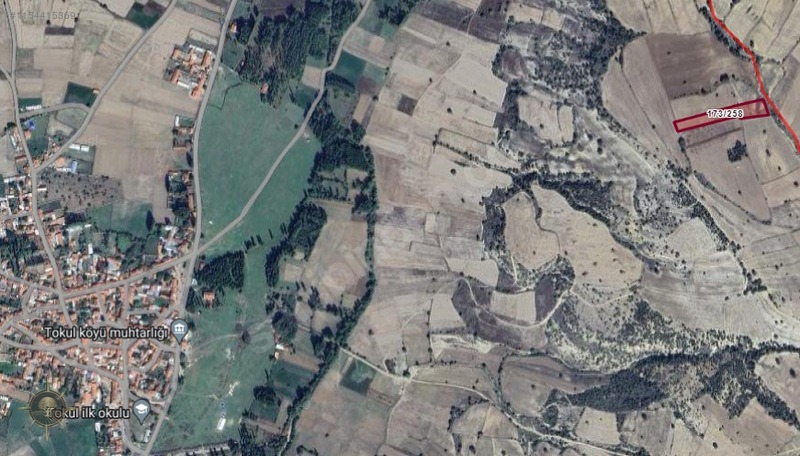 RESMİ YOLLU TOKUL KÖYÜNÜN DİBİNDE 2 DÖNÜM FIRSAT ARAZİ - KÜTAHYA ASLANAPA fotoğraf 3
