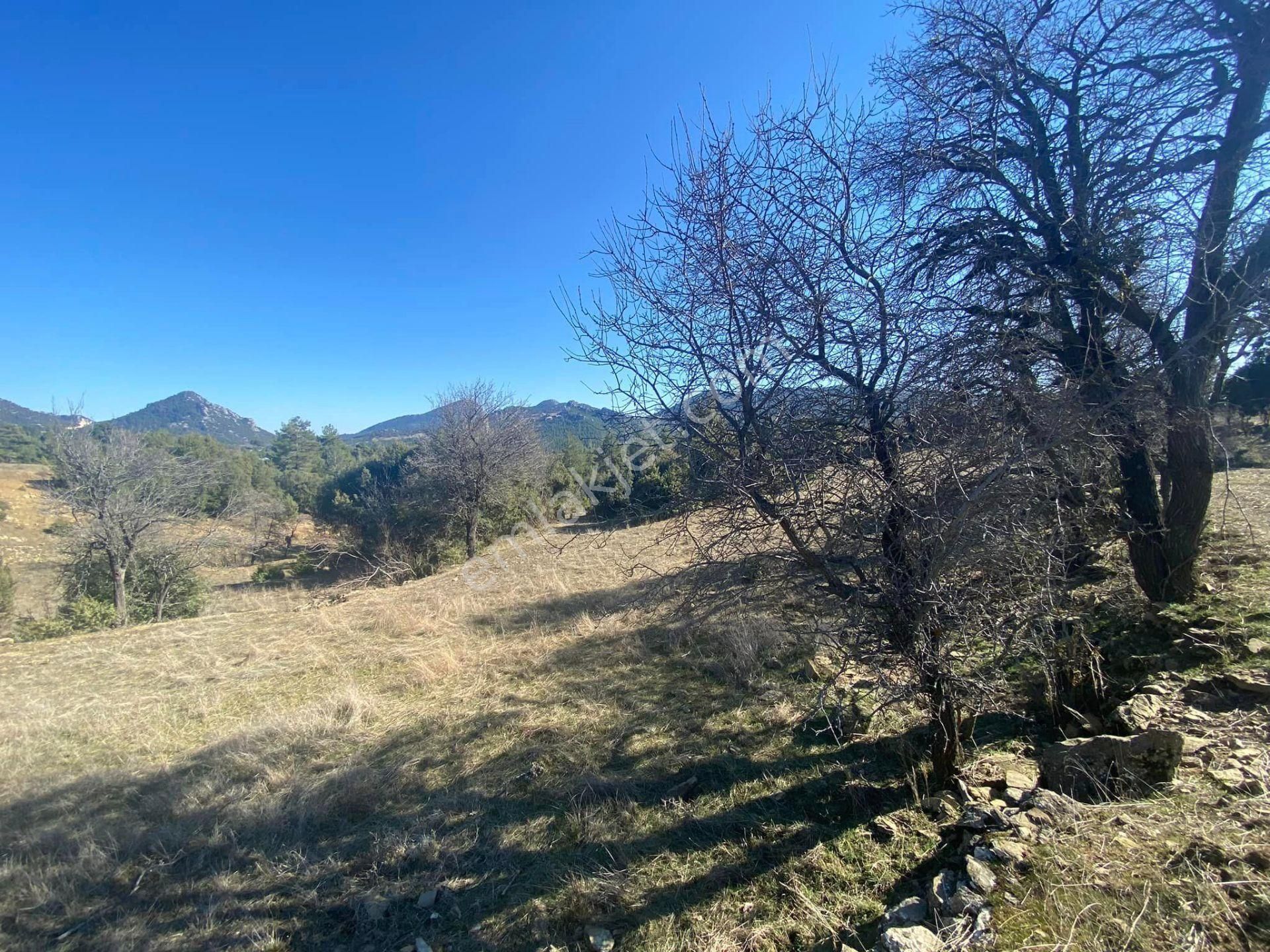 Burdur Ağlasun Hisarköy 6.700 M2 Baraja Yakın Satılık Yatırımlık Tarla - BURDUR AĞLASUN fotoğraf 7
