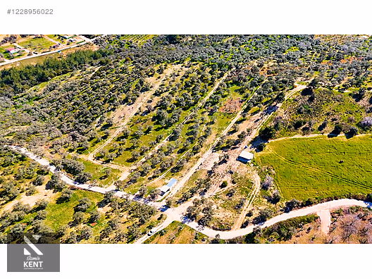 Kemalpaşa Vişneli Satılık 370 m2 Bahçe Elektrik Su Yol - İZMİR KEMALPAŞA fotoğraf 4