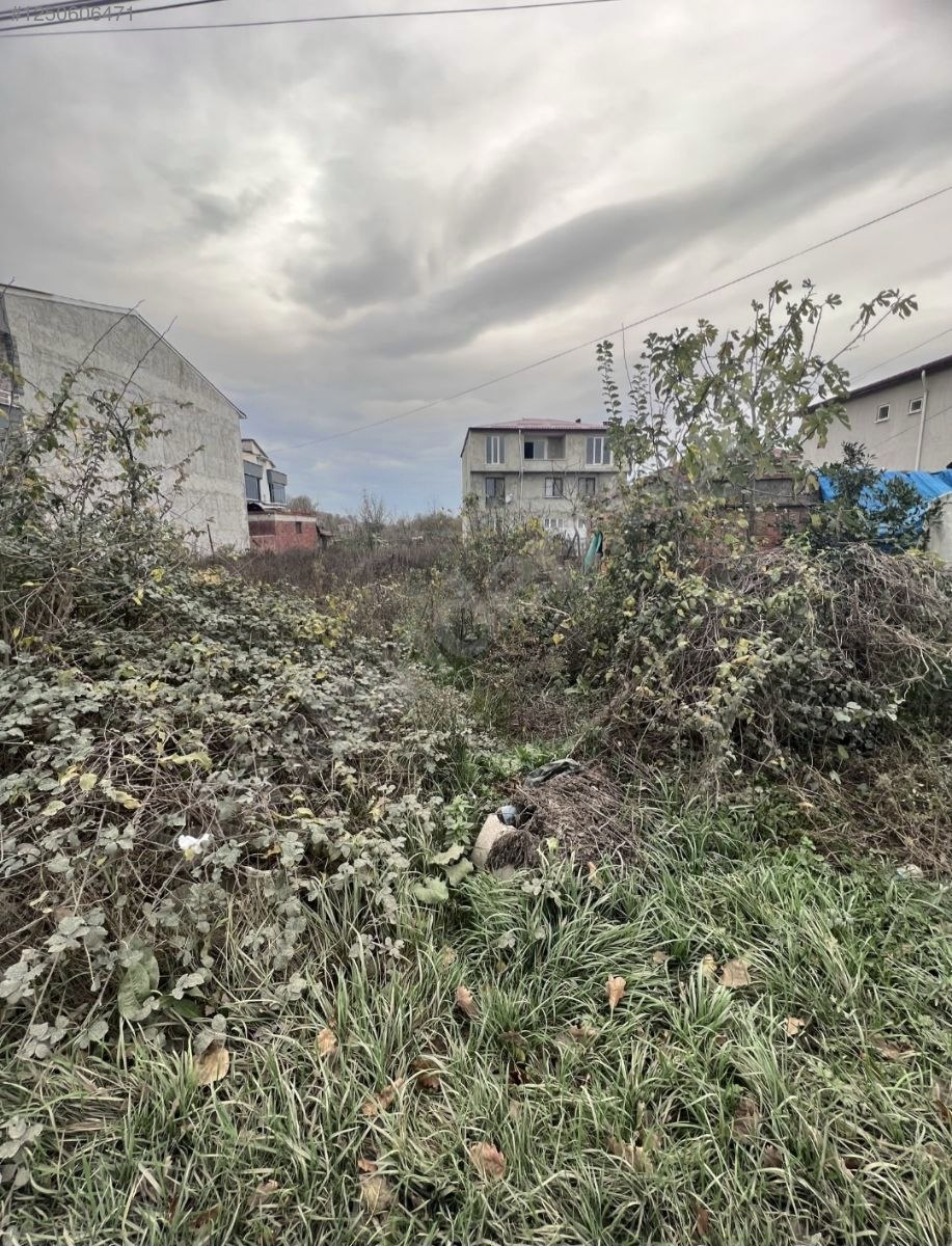 Organize karşısı arsa - SAMSUN ÇARŞAMBA fotoğraf 2