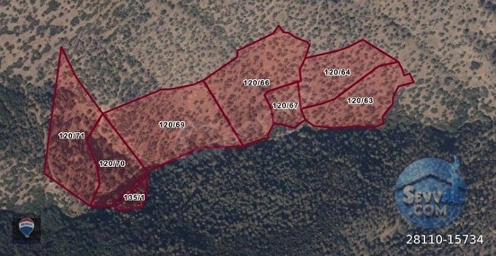 AYDIN BOZDOĞAN OSMANIYE'DE 71.000M² SATILIK ZEYTIN BAHÇESI TAMAMI SATILIK - AYDIN BOZDOĞAN fotoğraf 7