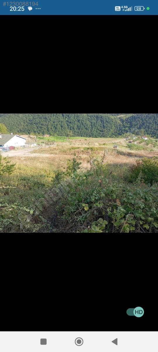 Suludere Ermeni çiftligi - KOCAELİ KARAMÜRSEL fotoğraf 2