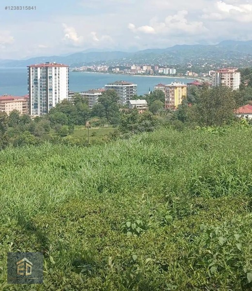 İlan Resmi
