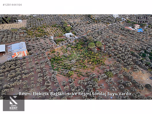 Kemalpaşa Çınar Satılık 8.507 m2 Bahçe - İZMİR KEMALPAŞA fotoğraf 18
