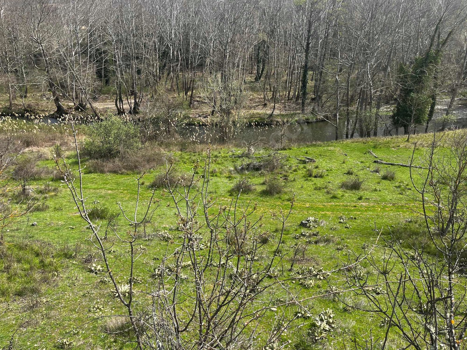 BURSA KELEŞ KIRANIŞIKLAR'DA 1.262 M² BAĞ SATILIKTIR. - BURSA KELES fotoğraf 8